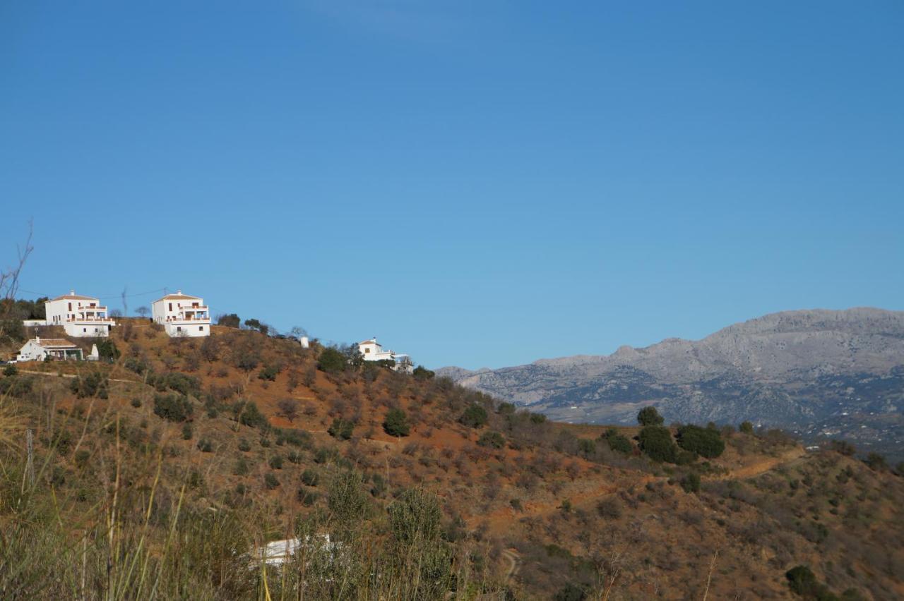 Vine Ridge Studio And Apartment Comares Extérieur photo